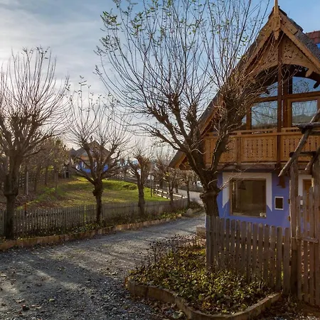 Casele Cu Stuf B&B Haus Ulrike Salicea Exterior photo