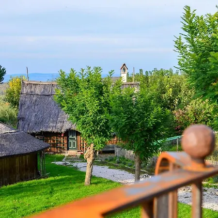 Casele Cu Stuf B&B Haus Ulrike Salicea Exterior photo