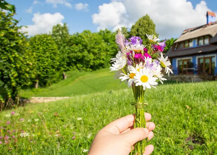 Casele Cu Stuf B&B Haus Ulrike
