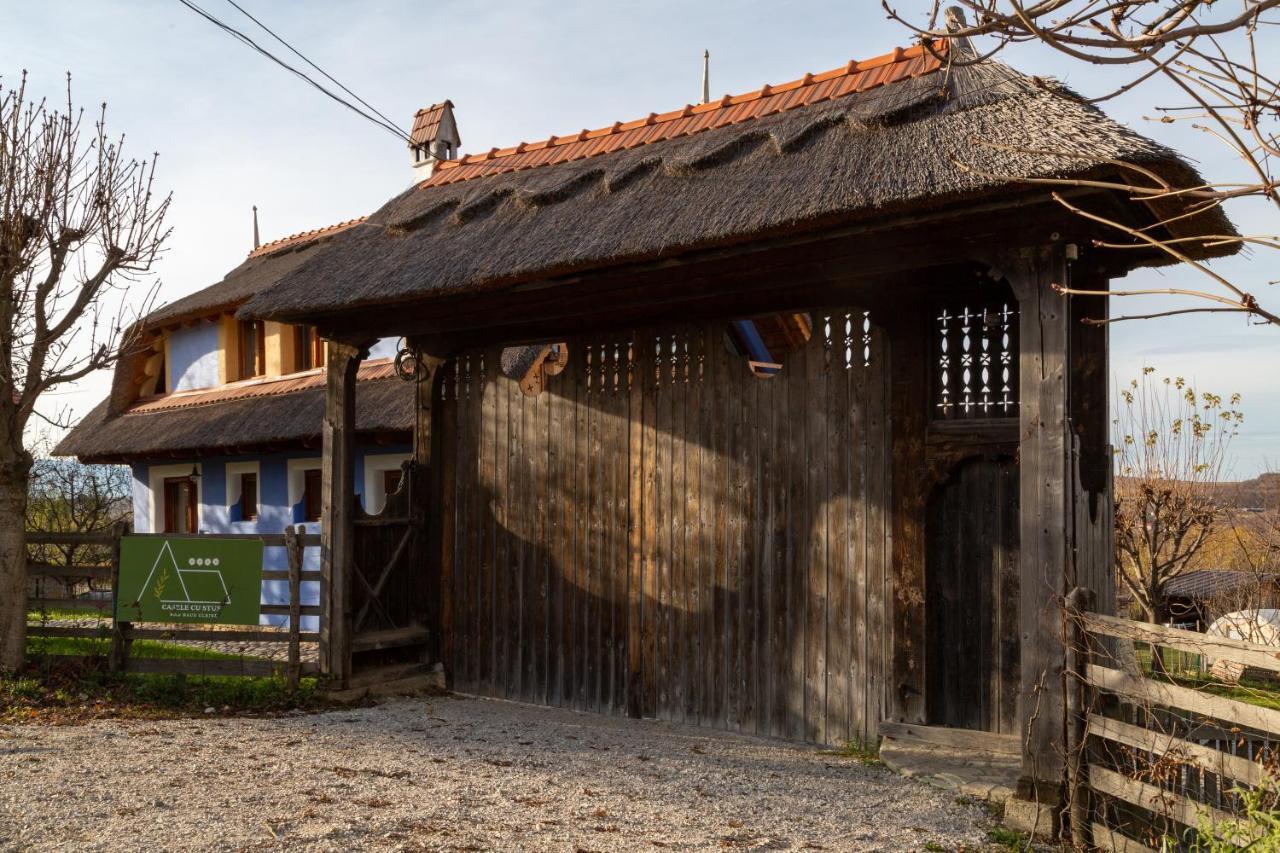 דירה Casele Cu Stuf Haus Ulrike Sălicea