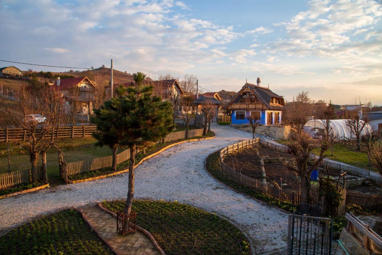 Casele Cu Stuf Haus Ulrike Apartment *