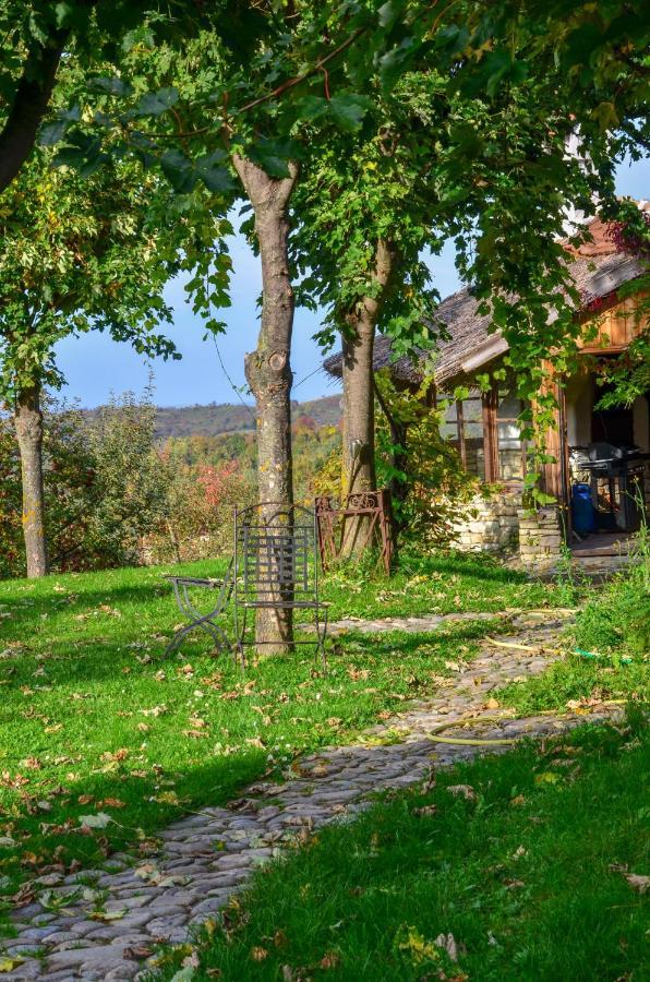 Casele Cu Stuf Haus Ulrike Apartment Salicea