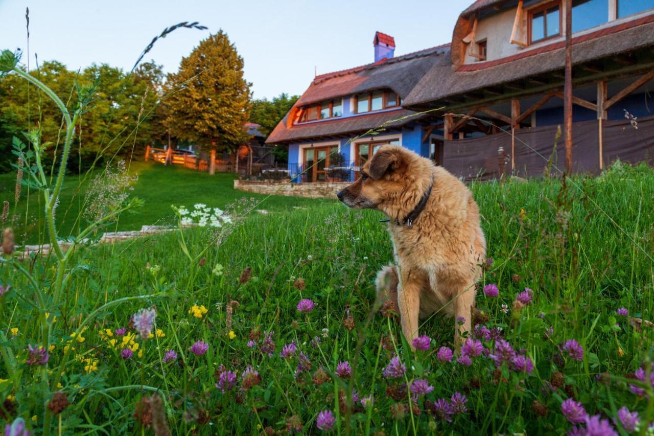 Casele Cu Stuf Haus Ulrike * Salicea