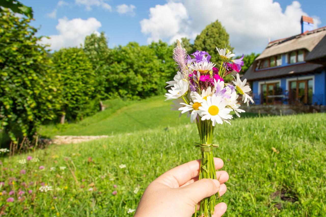 Casele Cu Stuf Haus Ulrike Apartment Salicea