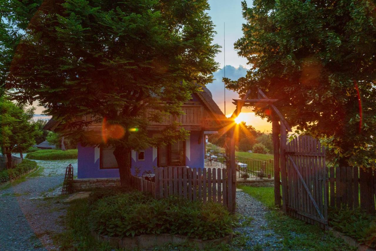 Apartment Casele Cu Stuf Haus Ulrike *
